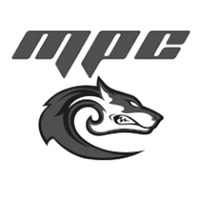 Team logo
